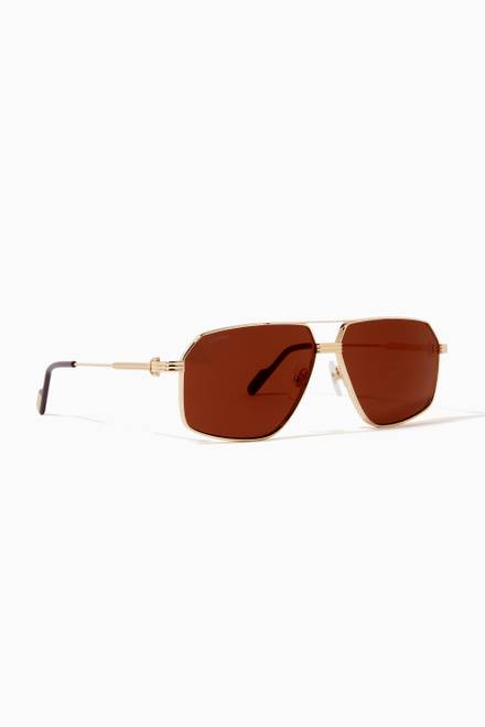 hover state of D-frame Sunglasses in Metal       