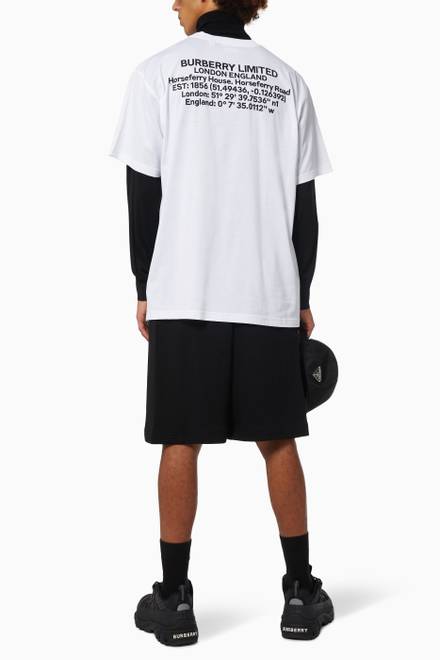 hover state of Coordinates Oversized T-shirt in Cotton             