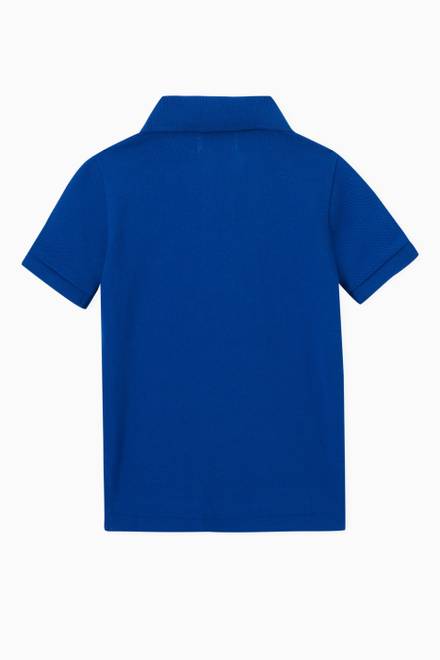 hover state of Basic Polo Shirt in Cotton